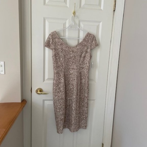 Gorgeous Alex Evening Dress Size 8 NWT - Picture 2 of 12